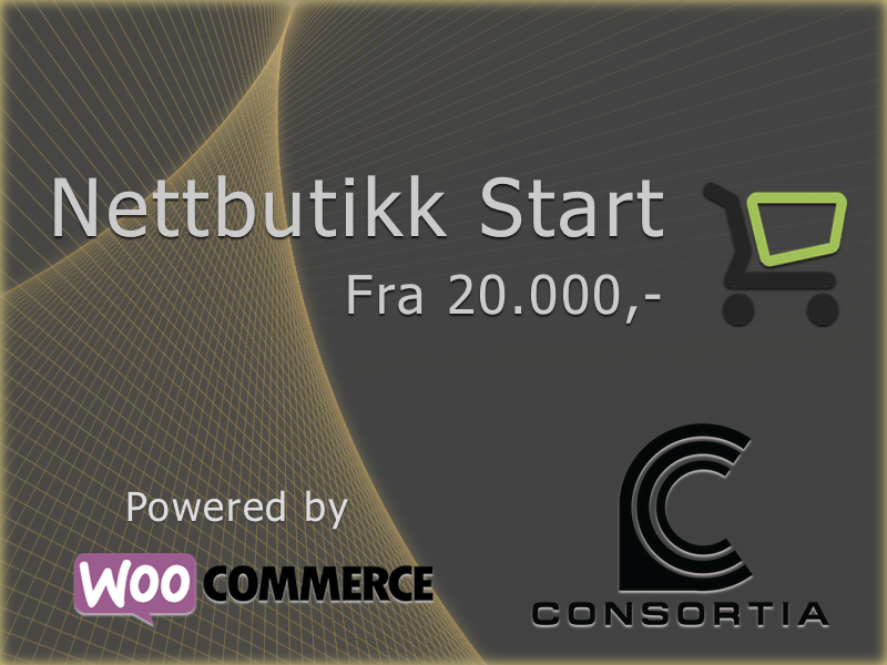 Nettbutikk start